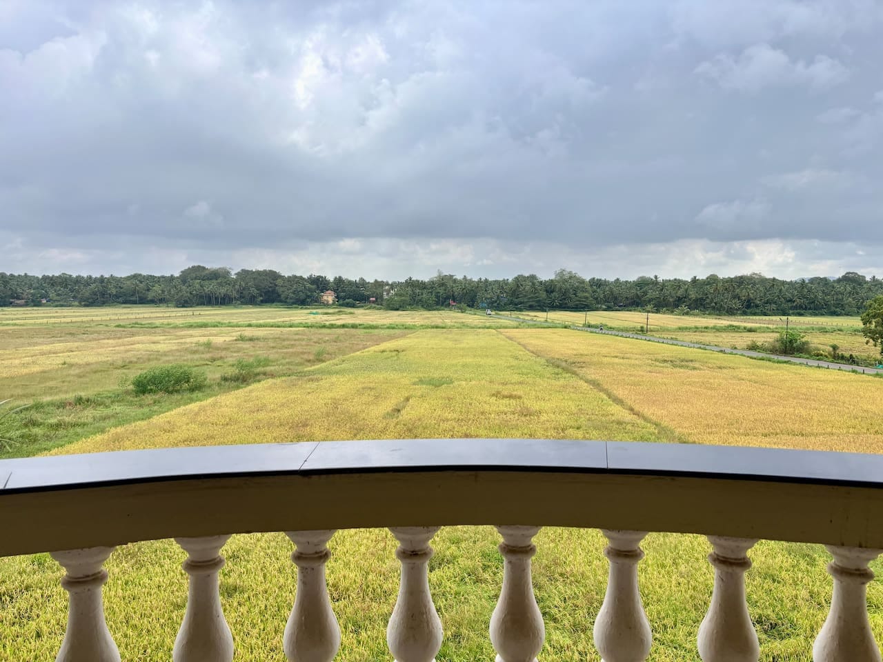 Villament - Majestic Palm, Benaulim property