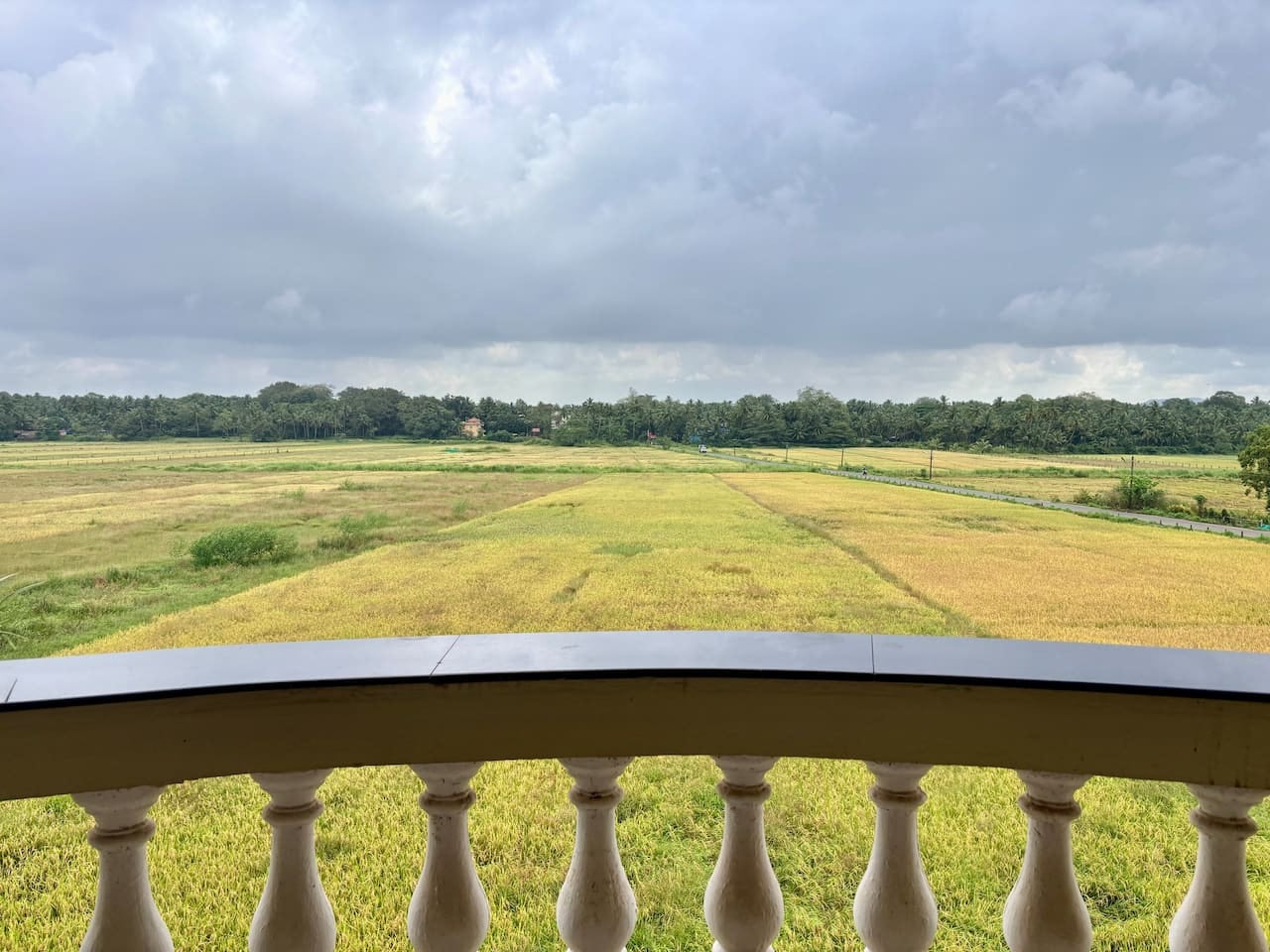 Villament - Majestic Palm, Benaulim property