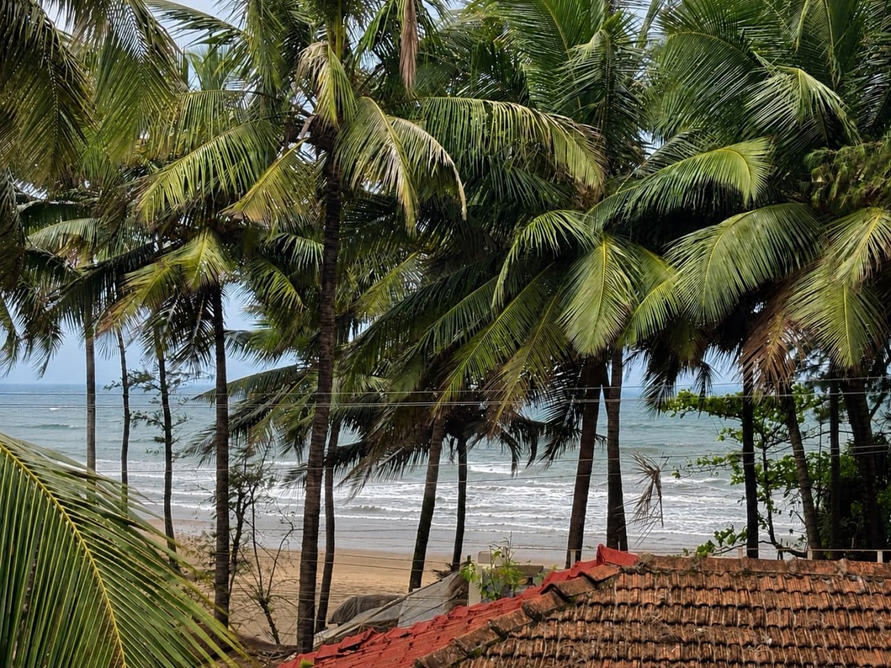 Tide and Terrace, Sea View, 2bhk Penthouse, Lux property